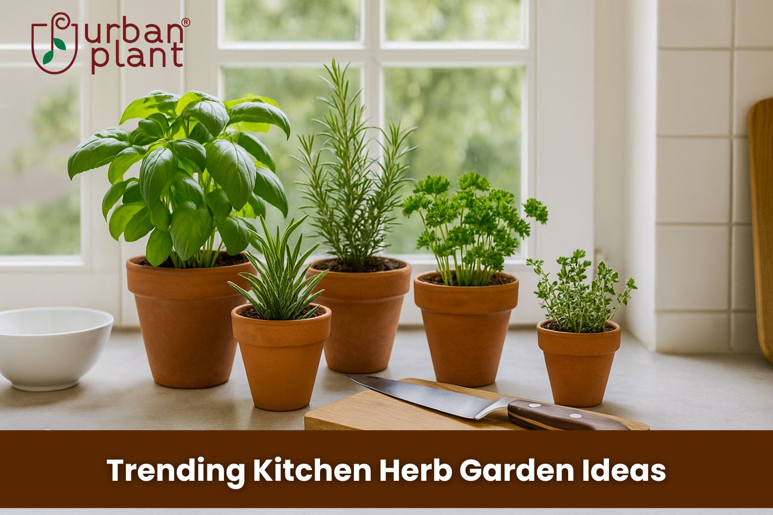 Indoor kitchen herb garden setup by Urban Plant featuring basil, rosemary, parsley, and thyme in terracotta pots on a windowsill countertop